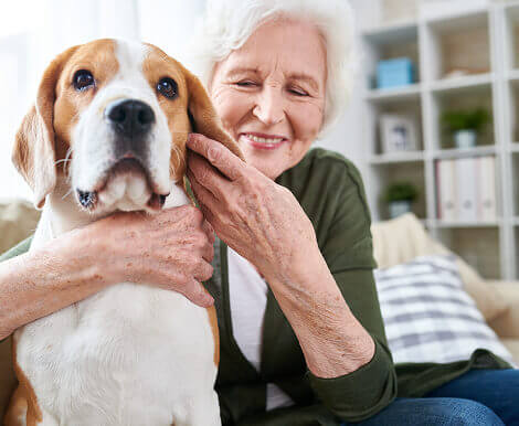 Smiling Elderly Woman Holding Beagle Dog During Pet Therapy at Assisted Living Facility