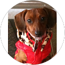 Lynn A. profile picture